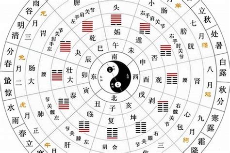 阴金|阴阳五行之金元篇（连接性）